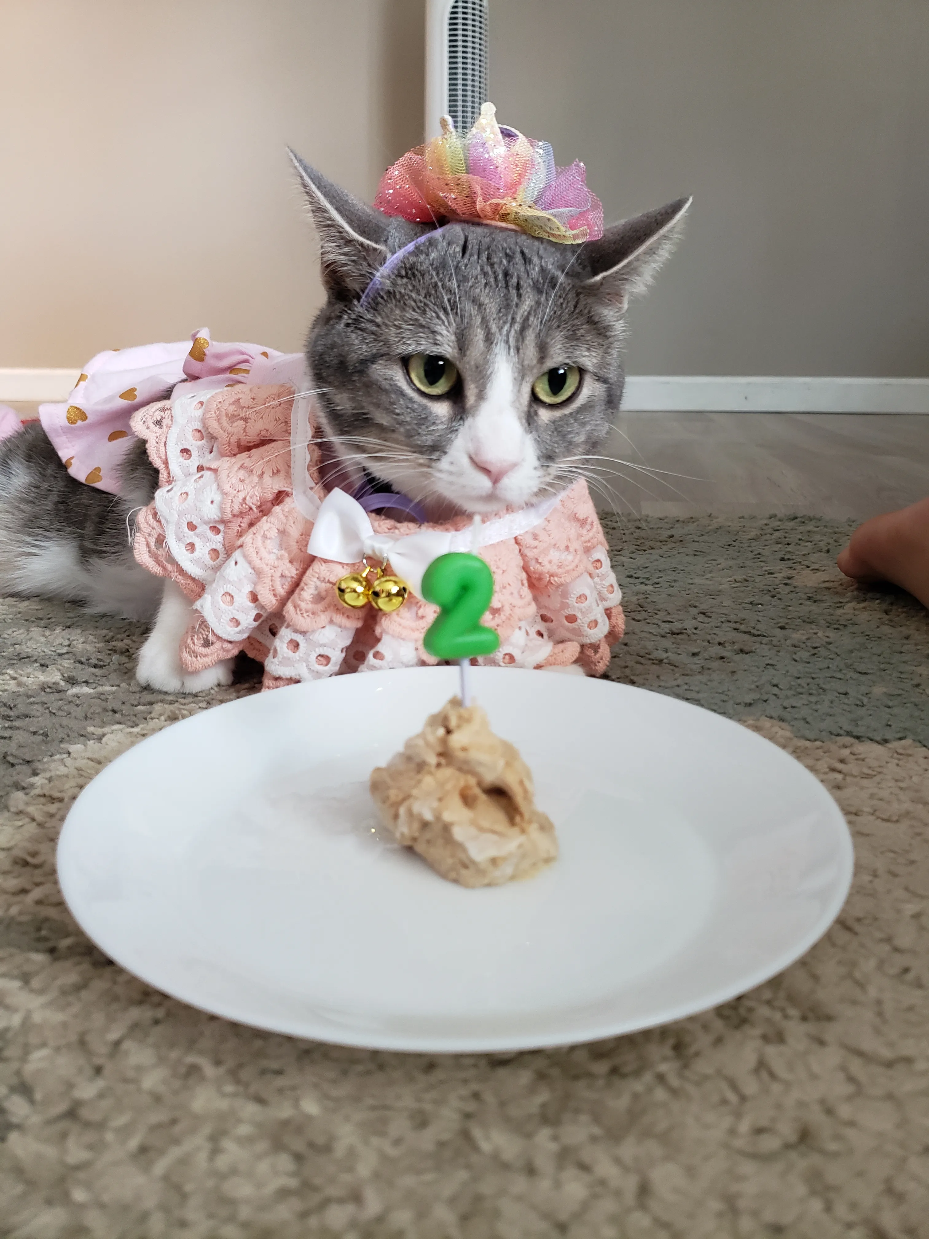 Birthday Joy!
