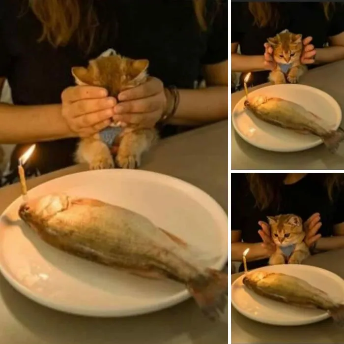 En este grupo solo se comparten fotos que traen felicidad, y es como el paraíso de Internet (40 imágenes)