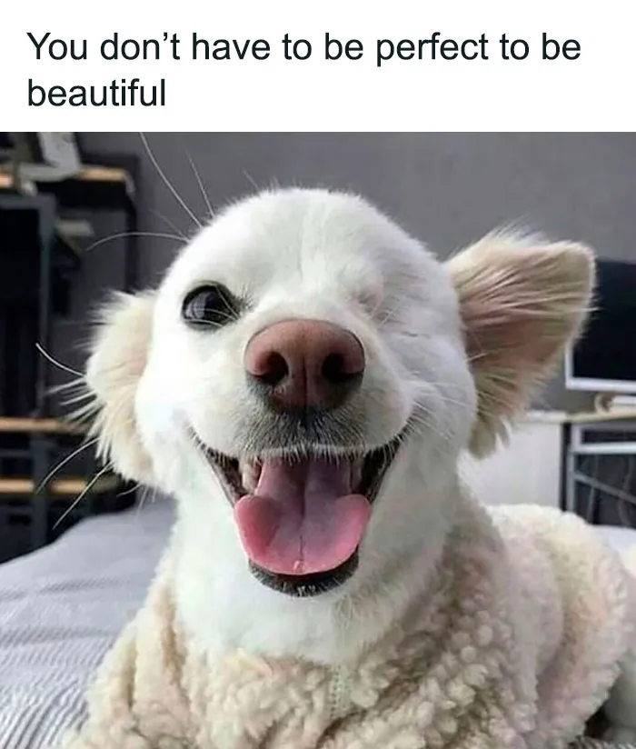 This Online Group Has People Sharing Only The Most Blessed Pics And It's Like Internet Heaven (50 Pics)