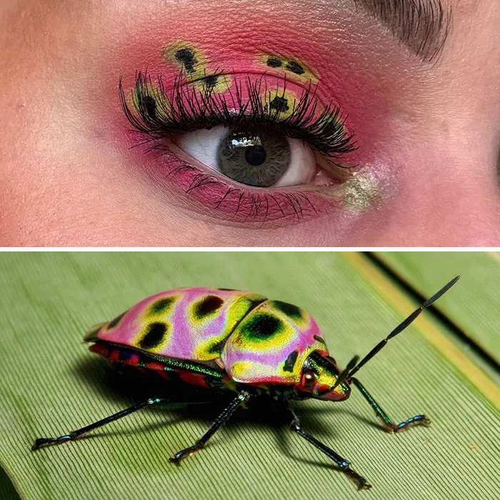 Artist Shows The Beauty Of Insects With Her 30 Matching Eye Makeup Looks