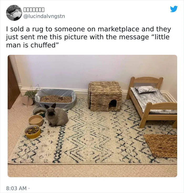 This Online Group Has People Sharing Only The Most Blessed Pics And It's Like Internet Heaven (50 Pics)