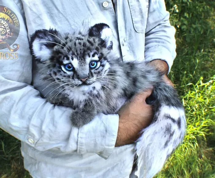 116 Incredibly Cute Animal Sculptures Made By Lee Cross