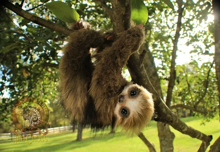 116 Incredibly Cute Animal Sculptures Made By Lee Cross