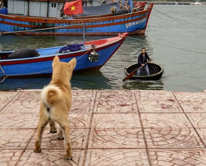 I Spent 17 Months In Vietnam Due To The Pandemic, And Here Are 35 Photos Capturing The Experience