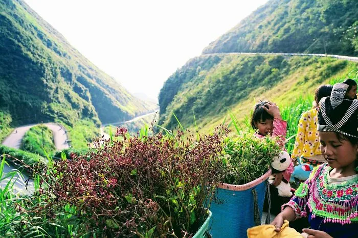 I Spent 17 Months In Vietnam Due To The Pandemic, And Here Are 35 Photos Capturing The Experience