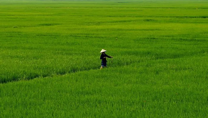 I Spent 17 Months In Vietnam Due To The Pandemic, And Here Are 35 Photos Capturing The Experience