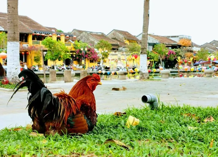 I Spent 17 Months In Vietnam Due To The Pandemic, And Here Are 35 Photos Capturing The Experience