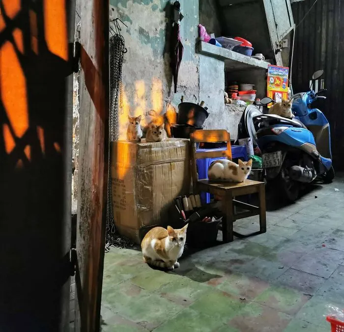I Spent 17 Months In Vietnam Due To The Pandemic, And Here Are 35 Photos Capturing The Experience
