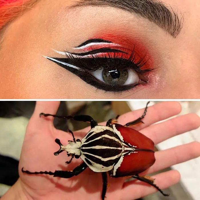 Artist Shows The Beauty Of Insects With Her 30 Matching Eye Makeup Looks