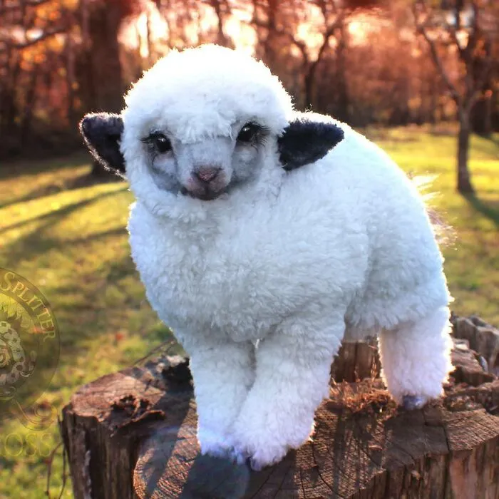 116 Incredibly Cute Animal Sculptures Made By Lee Cross