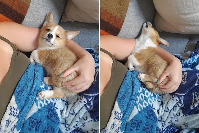Vaya Mami, ¡¿Otra foto?!? *ugh* Presley desaprueba esto