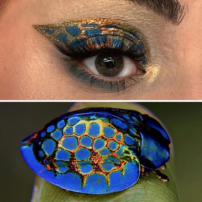 Esta artista mostró la belleza de los insectos con sus 20 estilos de maquillaje de ojos a juego
