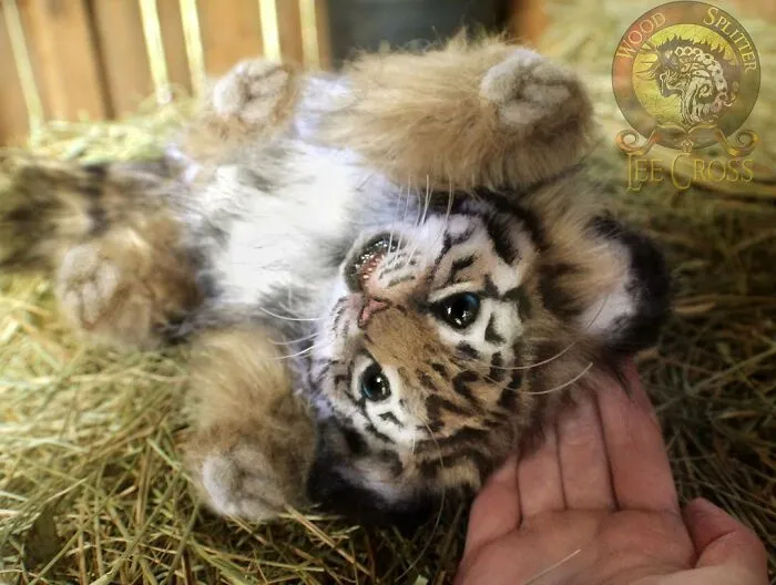 116 Incredibly Cute Animal Sculptures Made By Lee Cross