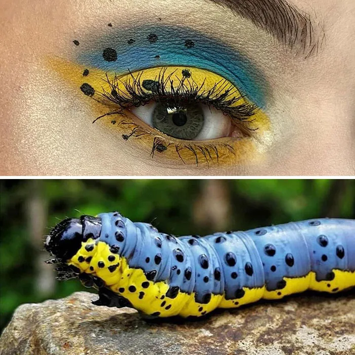 Bug-Inspired-Eye-Makeup-Duran-Jay-Entomakeup