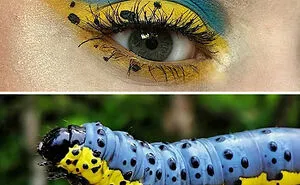 Artist Shows The Beauty Of Insects With Her 30 Matching Eye Makeup Looks
