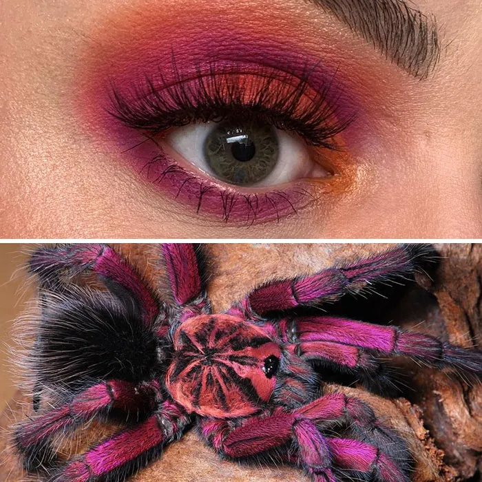 Artist Shows The Beauty Of Insects With Her 30 Matching Eye Makeup Looks