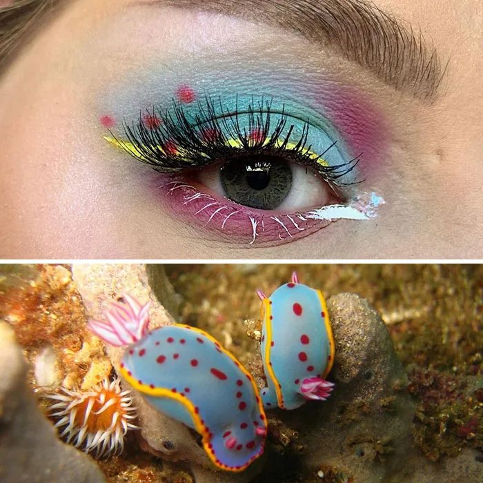 Esta artista mostró la belleza de los insectos con sus 20 estilos de maquillaje de ojos a juego