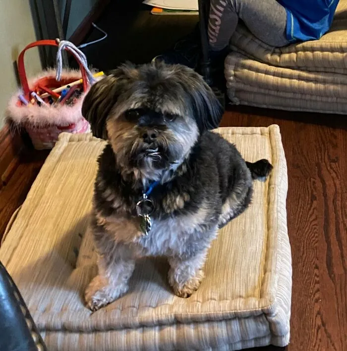 Mines Of My Doggo!