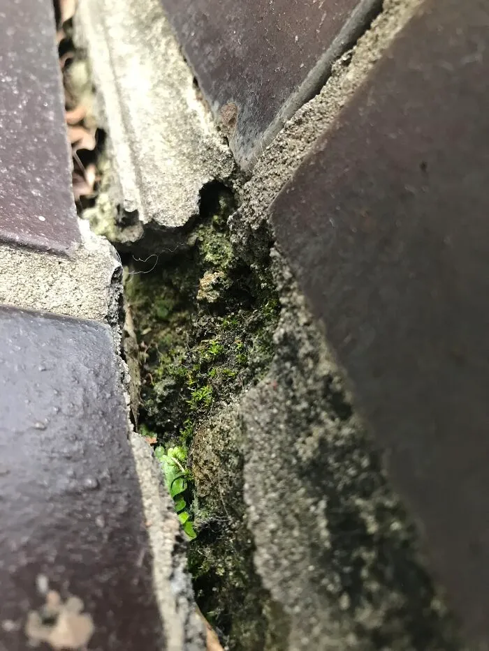 It's Not Amazing But I'm Proud Of It. Macro Of The Stairs Of My Apartment Building