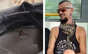 This Online Community Celebrates The Land Of 'Nope', Here Are 50 Of The Best Pics