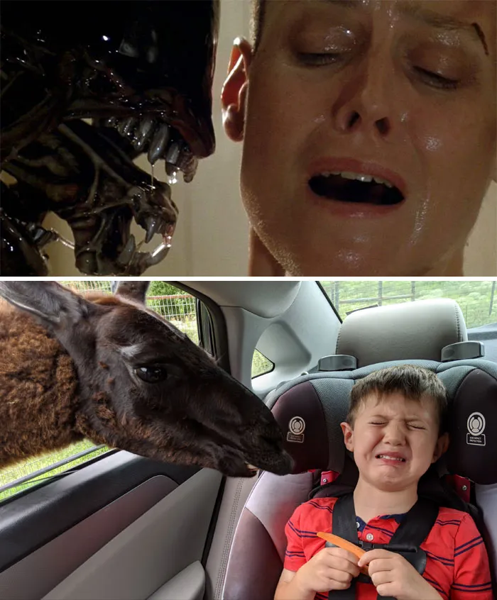 Mi hijo durante su safari de cumpleaños