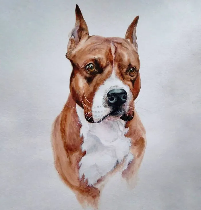 I Am Homeless Because Nature And Travels Inspire Me To Create These Paintings (46 Pics)