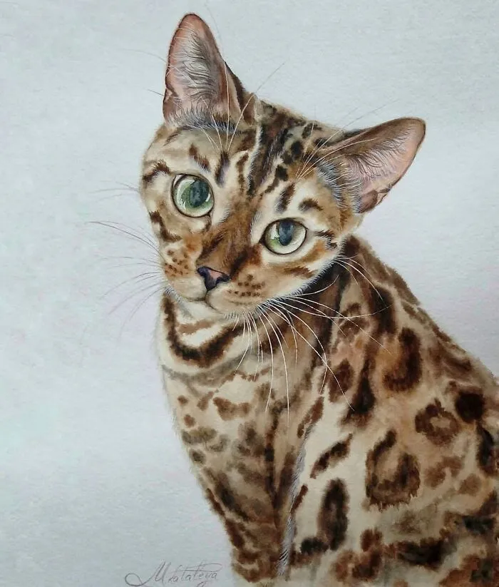 I Am Homeless Because Nature And Travels Inspire Me To Create These Paintings (46 Pics)