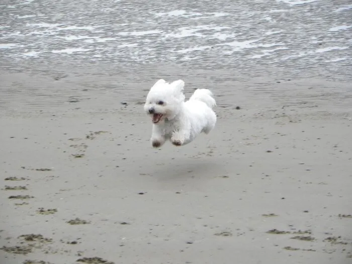 He Can Levitate 😂