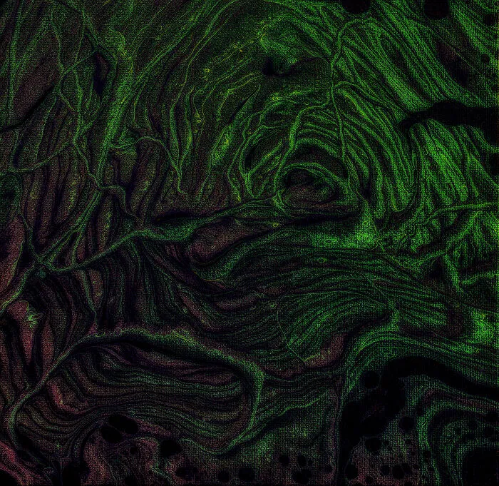 Alien Neurons By Courtney And A Canvas