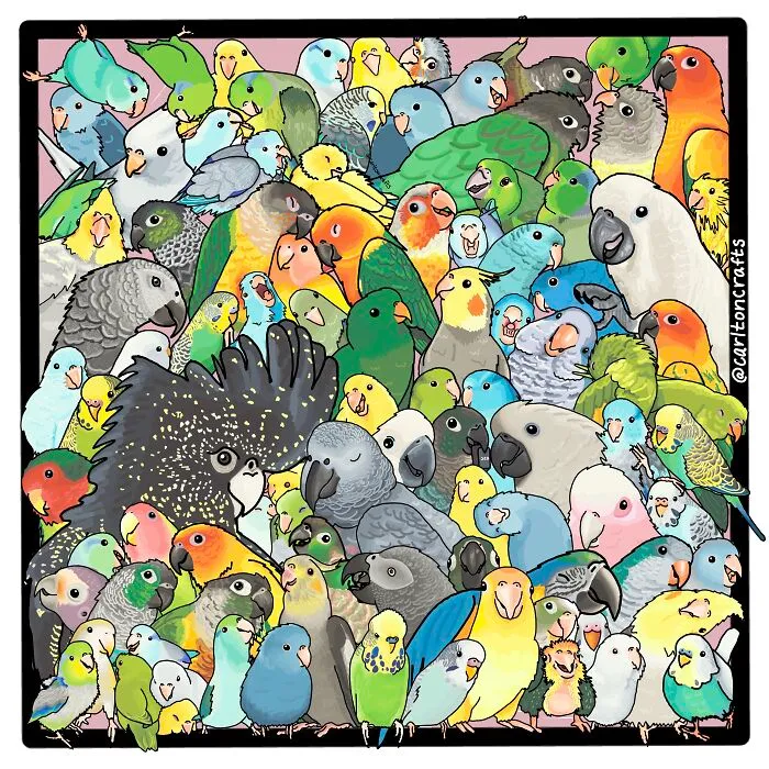 One Year And Over 200 Parrot Commissions Later!