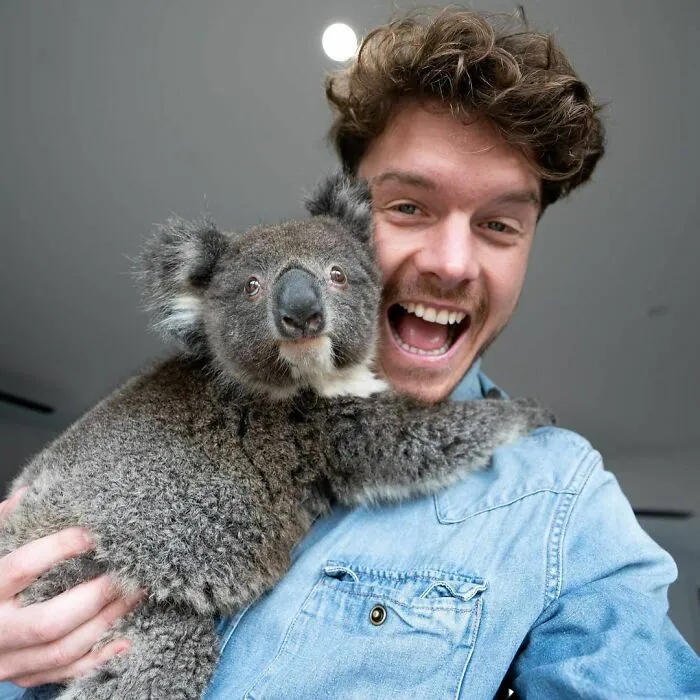 This Little Koala Named Ralph Has A Second Chance