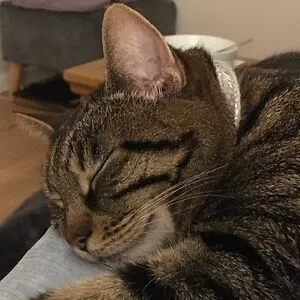 Jono