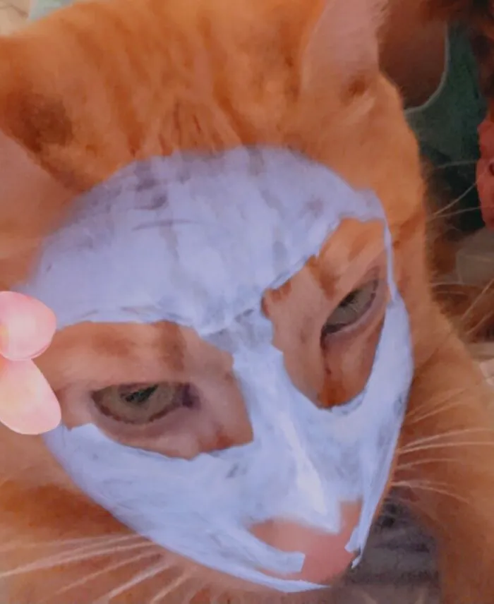 My Kitty :>