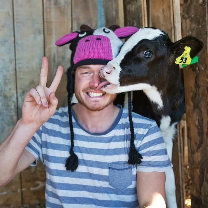 Holy Calf! Topped Up On My Farm Fix This Week. Thanks For The Adventures 