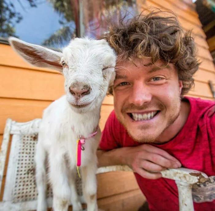  Verified I Think The Goat Likes You