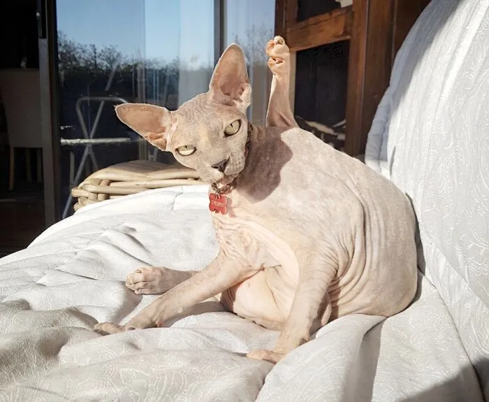 Taking A Bath In The Sun