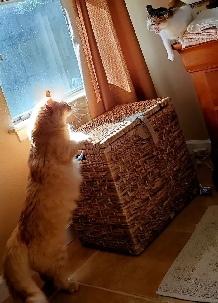 Fight Over The Window Seat