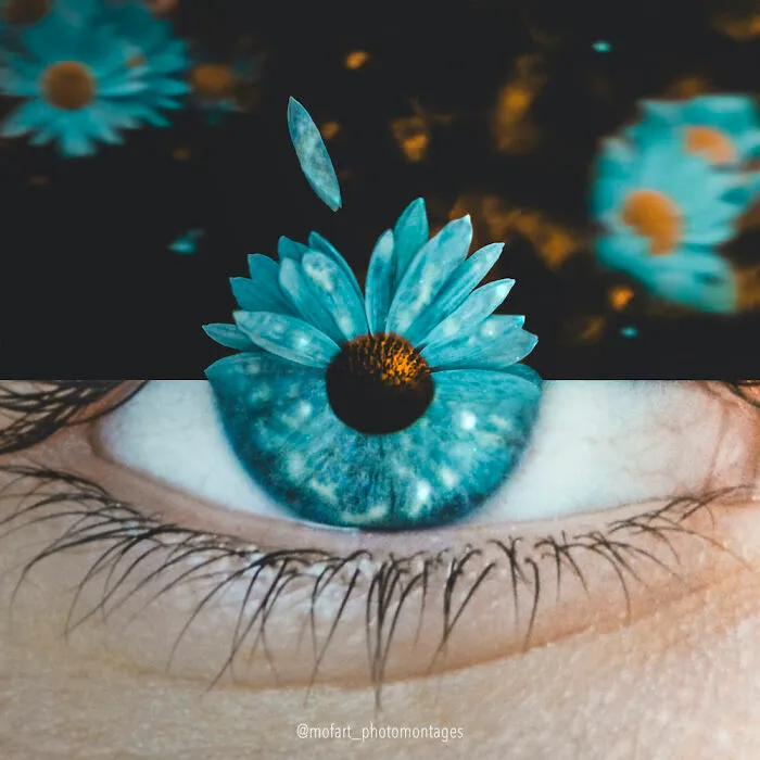 Blooming Vision