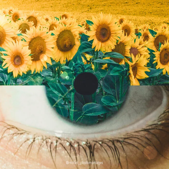 Blossoming Vision