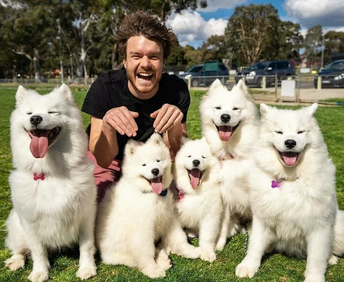 Who Is The Cutest Dog? These Doggos Are Such A Handful But So Freaking Adorable! 