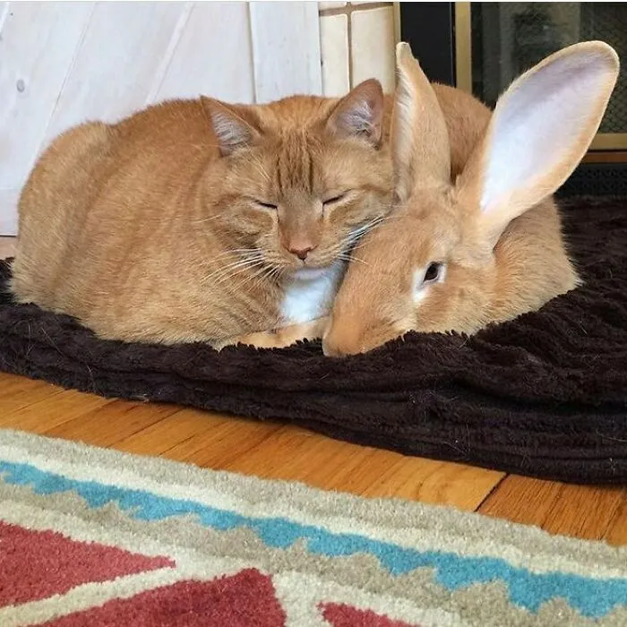 Some Warm Fuzzies In Honor Of Wal’s Birthday