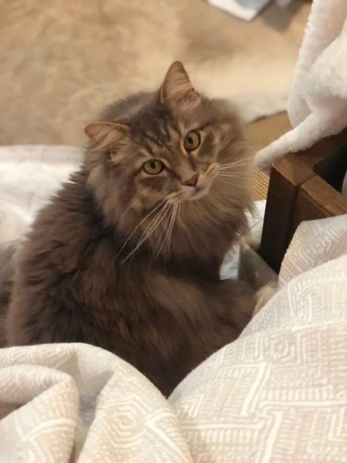 Cutie!