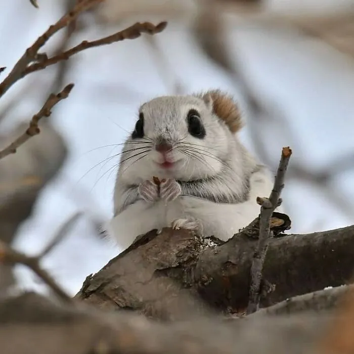 50 Photos Of Animals Just Living Their Best Life, As Shared On This Instagram Page
