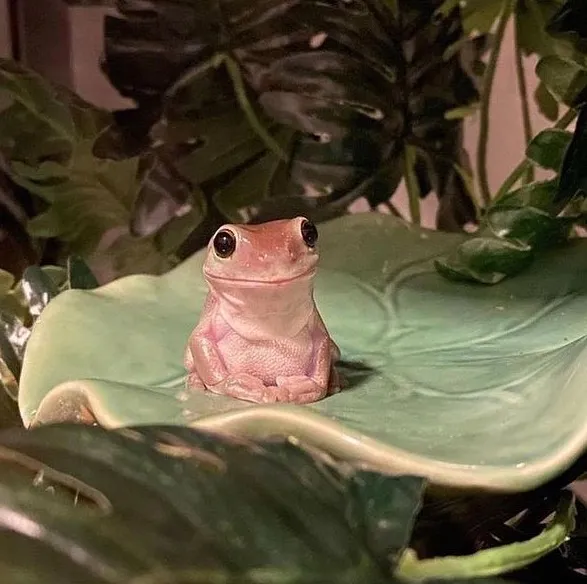 50 Photos Of Animals Just Living Their Best Life, As Shared On This Instagram Page