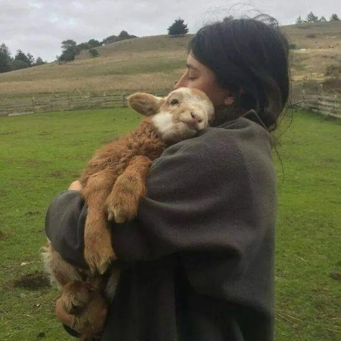 50 Photos Of Animals Just Living Their Best Life, As Shared On This Instagram Page