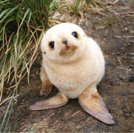 50 Photos Of Animals Just Living Their Best Life, As Shared On This Instagram Page