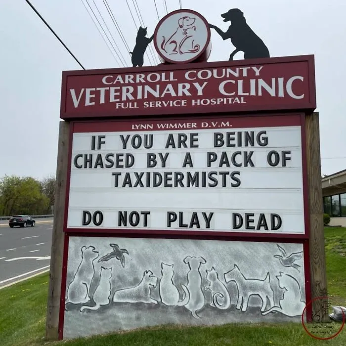 20 Divertidos carteles frente a esta clínica veterinaria que te harán sonreír