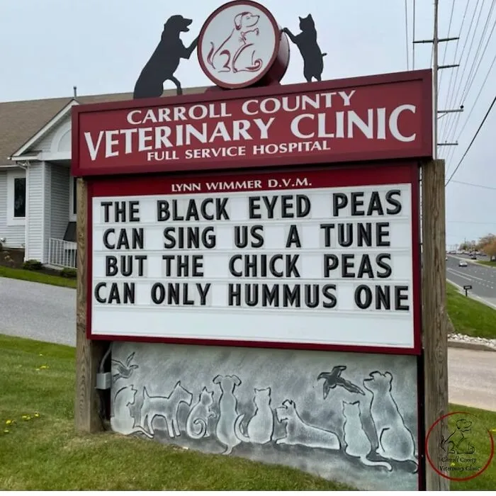 30 Of The Funniest Outdoor Signs From This Vet Clinic To Make You Crack A Smile (New Pics)