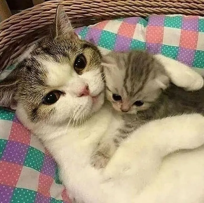50 Photos Of Animals Just Living Their Best Life, As Shared On This Instagram Page
