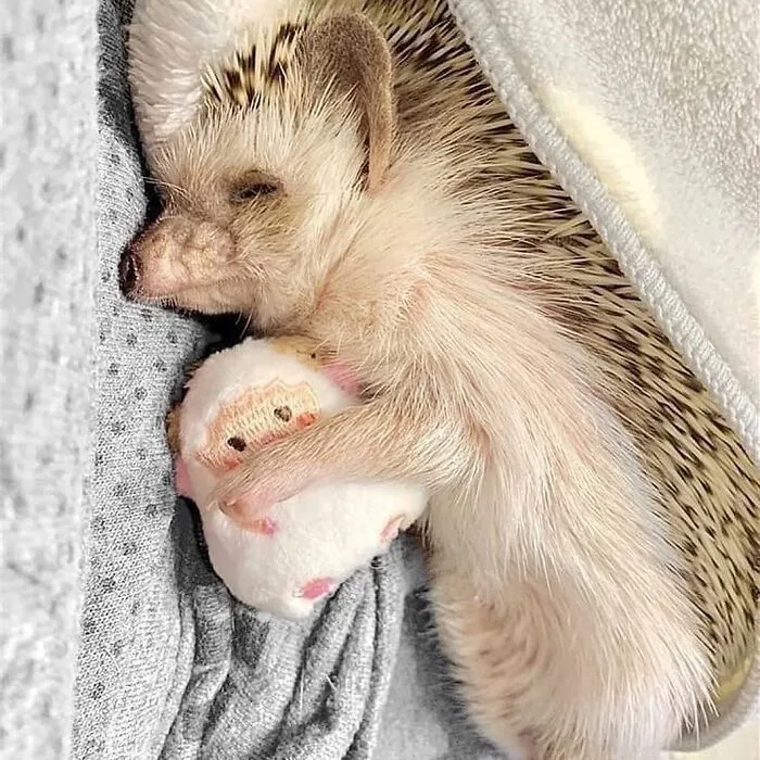 Cuddle Time